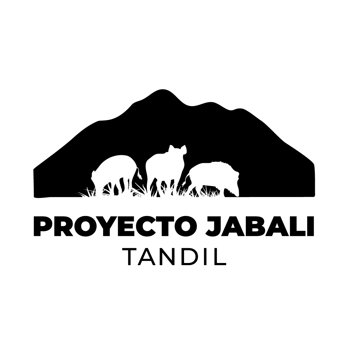 proyectojabalitandil